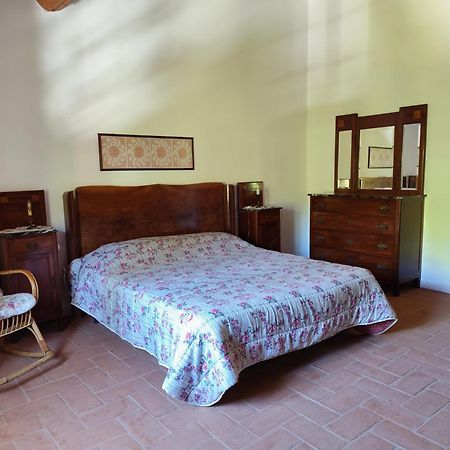 Casa Daria, Armonia Del Passato Nel Rispetto Della Natura Donoratico Εξωτερικό φωτογραφία