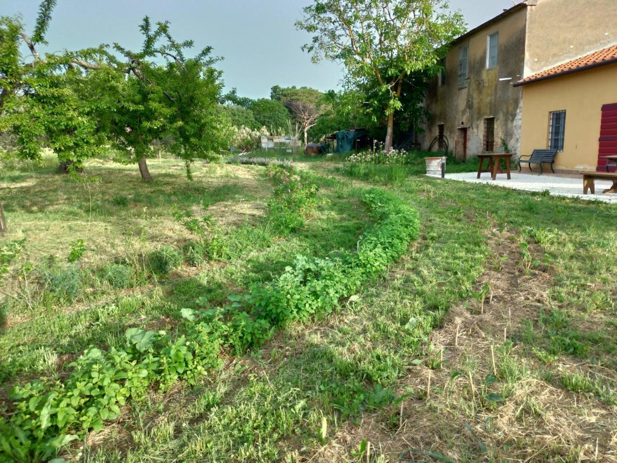Casa Daria, Armonia Del Passato Nel Rispetto Della Natura Donoratico Εξωτερικό φωτογραφία